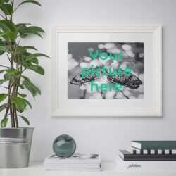 Photo Printing with White Frame and White Mat